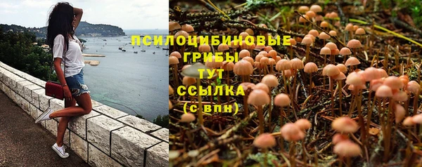 2c-b Кодинск