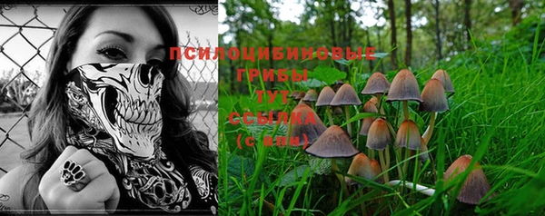 не бодяженный Костерёво