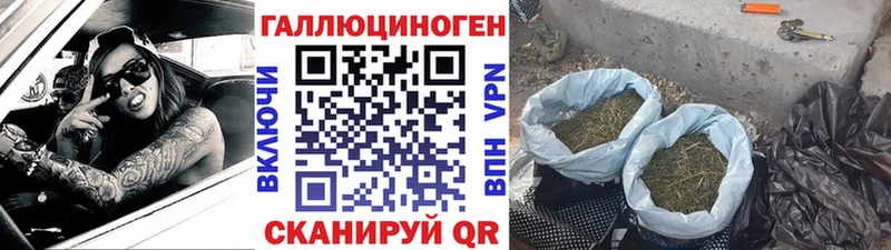 Галлюциногенные грибы мицелий  Курчатов 