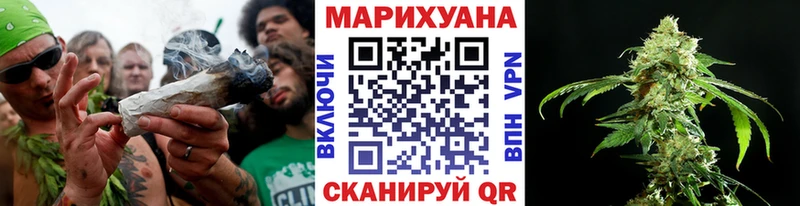 где можно купить   Курчатов  Канабис AK-47 